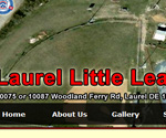 Laurel Little League